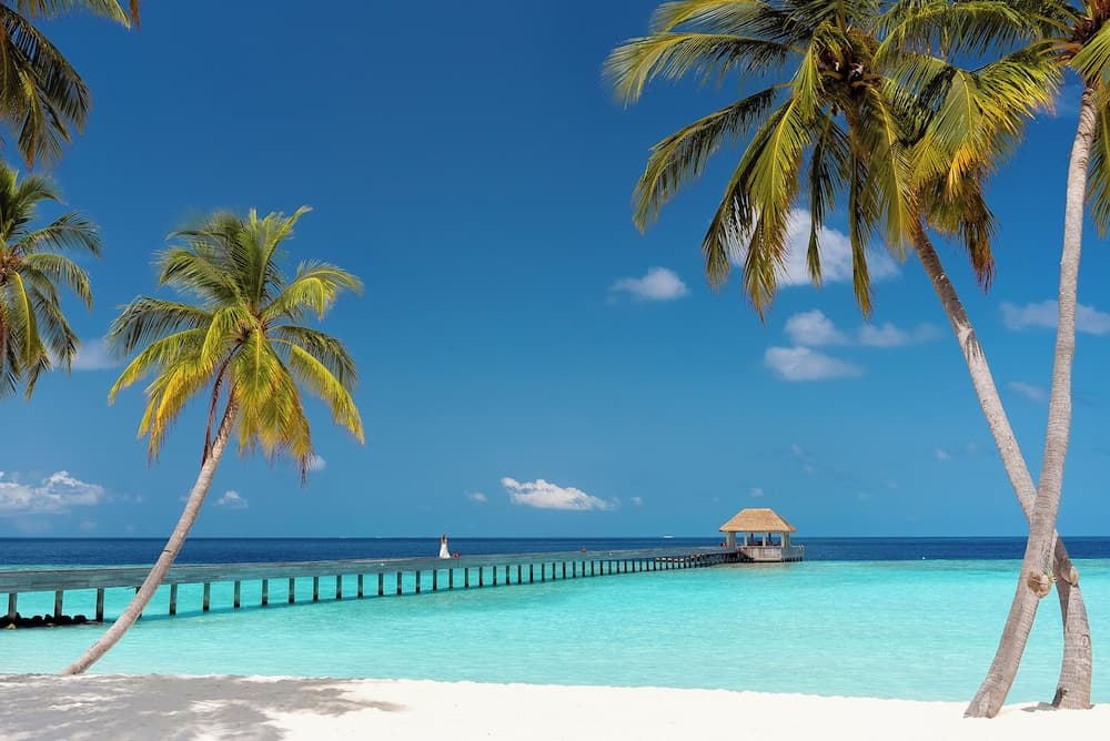 Baglioni Resort Maldives Luxury All Inclusive - LHW - View 132