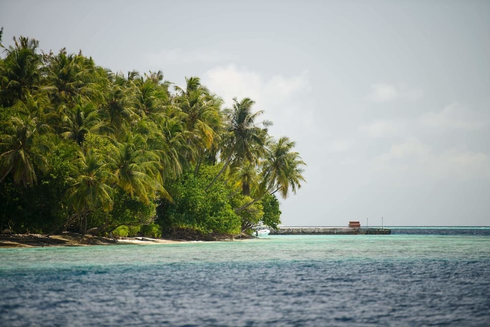 Biyadhoo Island Resort - View 72