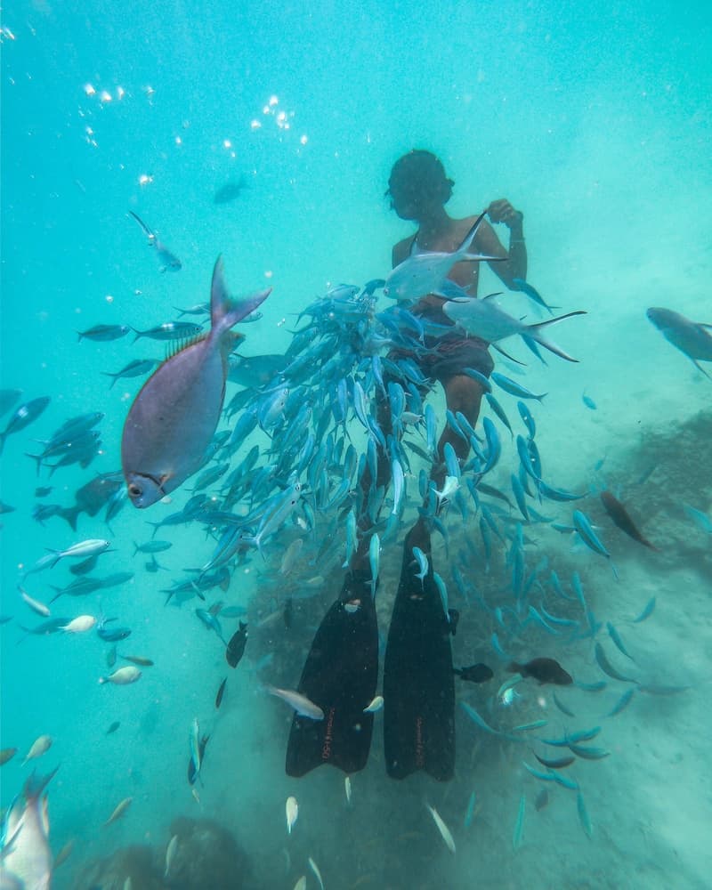 Rasreef Rasdhoo Maldives - View 25