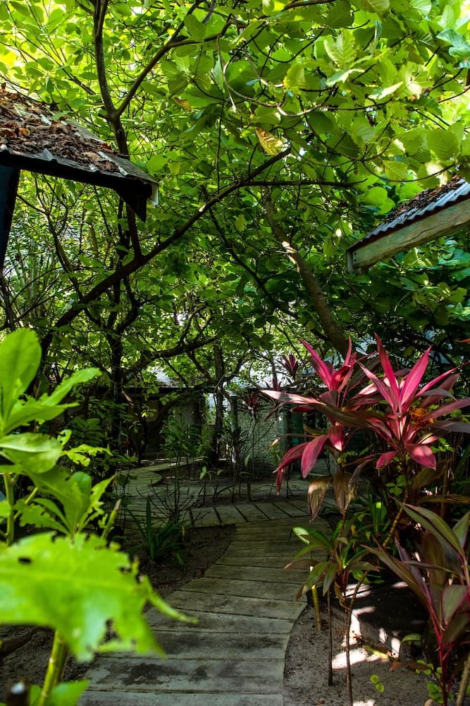 Mi Lugar Retreat and Spa - View 59