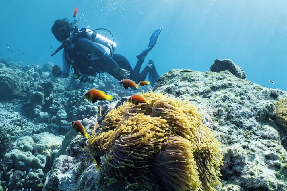 Kuredhivaru Resort & Spa Maldives - View 5