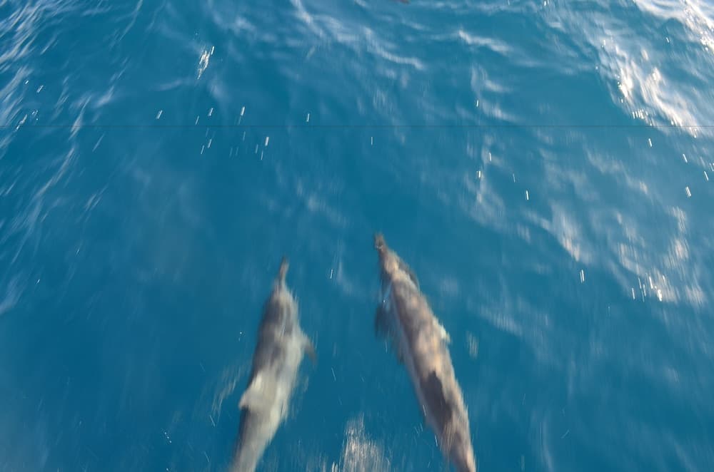 Yacht Fascination Maldives - View 26