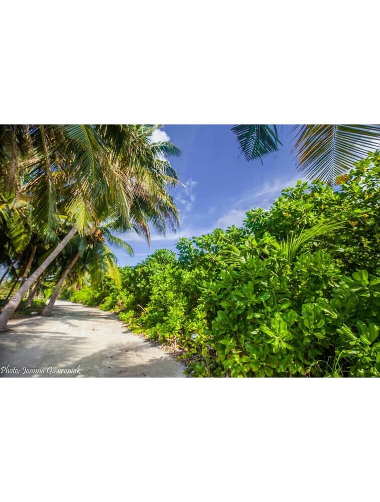 Thoddoo Beach View by Vista - View 22