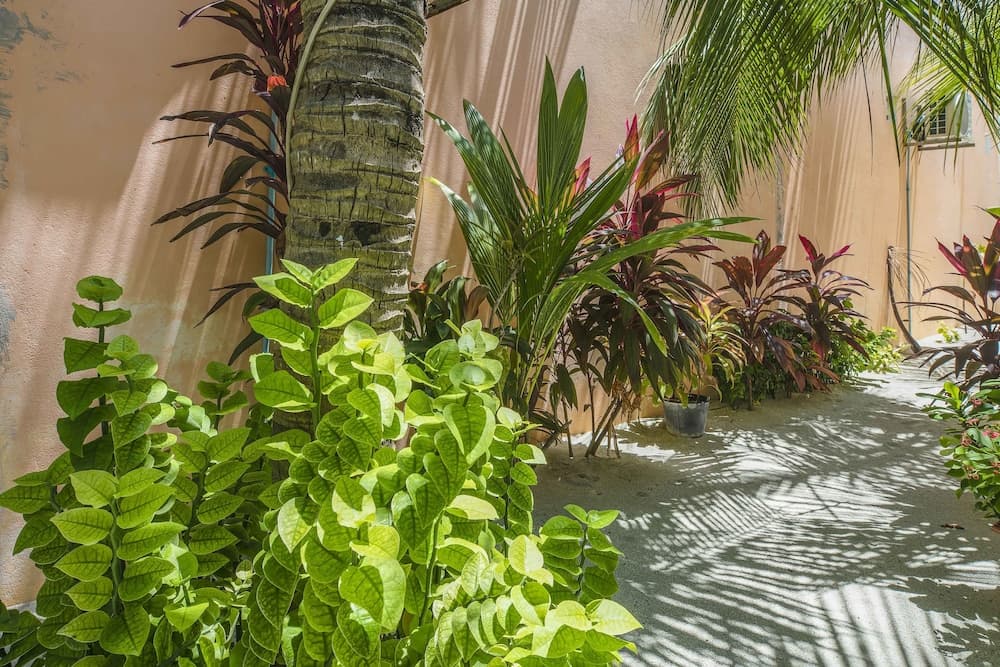 Royal Inn Rasdhoo - View 43