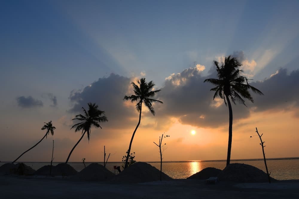 Savaa Home - View 18