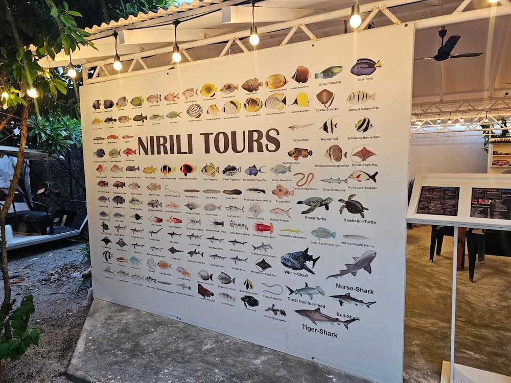 Nirili Villa - View 8