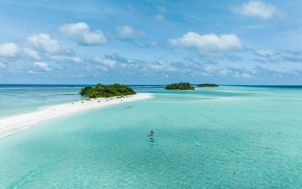 Stay Mikado - View 13