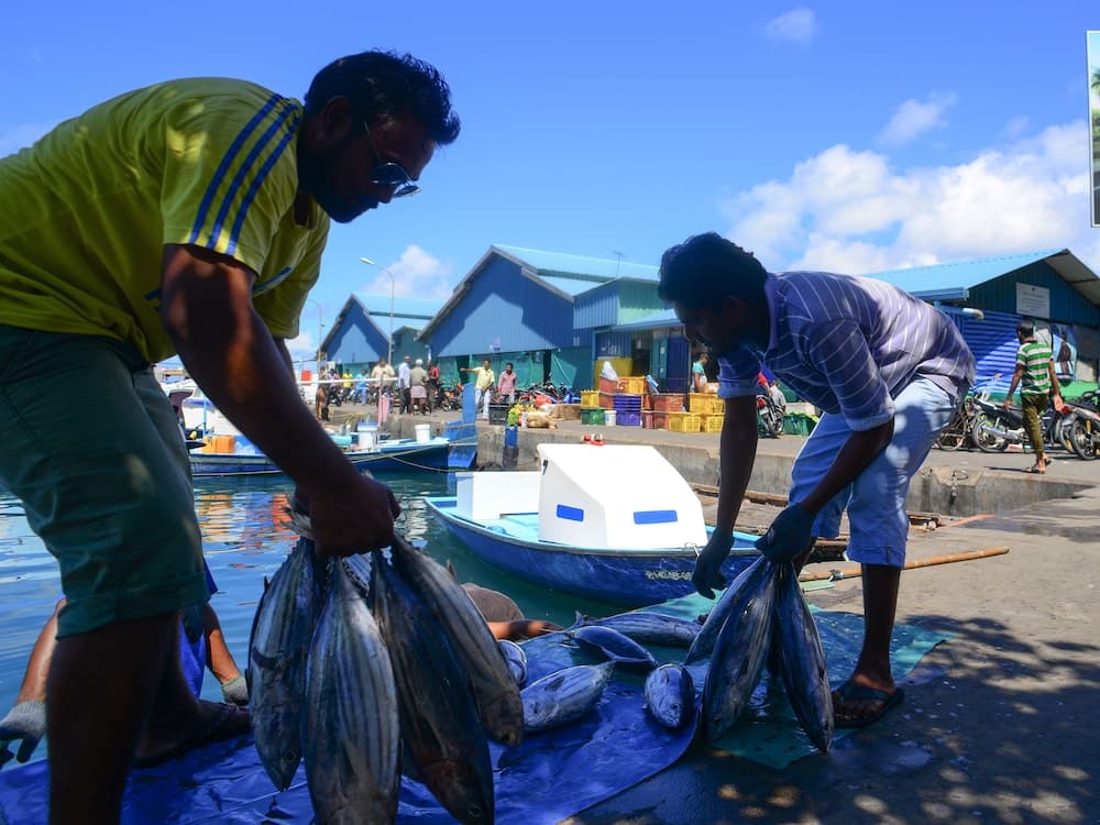 Noomoo Hulhumale - View 14