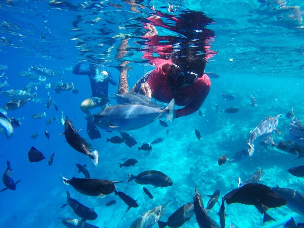 Adroit Beach Inn - View 198