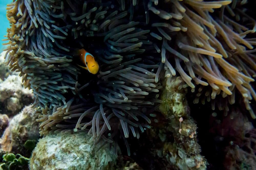 Detour Beach View - View 49