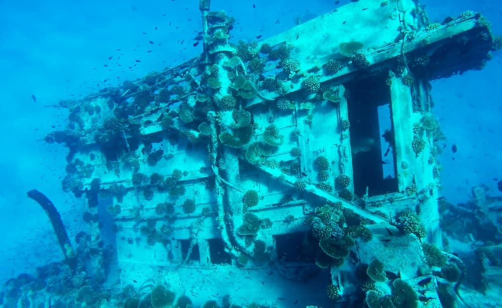 Adroit Beach Inn - View 159