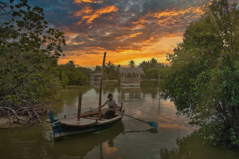 South Palm Resort Maldives - View 118