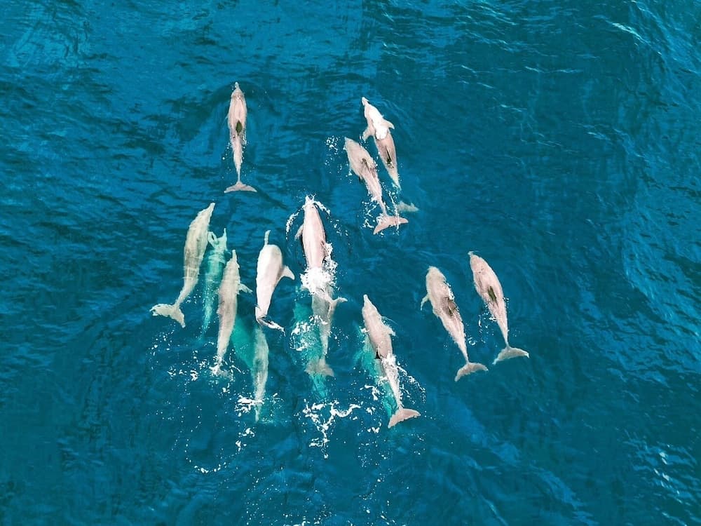 101 Retreat - View 21