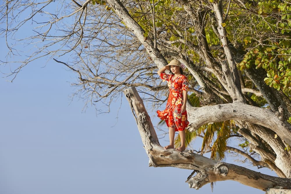 Taj Coral Reef Resort & Spa Maldives – A Premium All Inclusive Resort - View 198