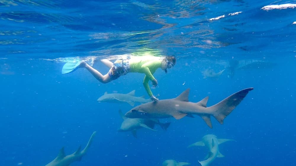 Yacht Fascination Maldives - View 36