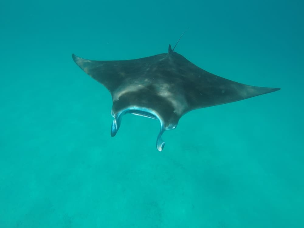 Mathiveri Inn - View 6