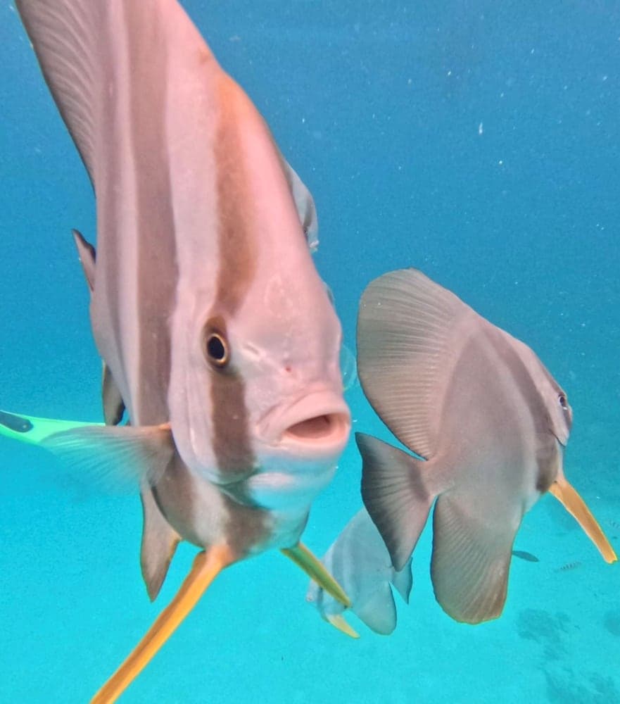 Three Hearts Guesthouse - View 60