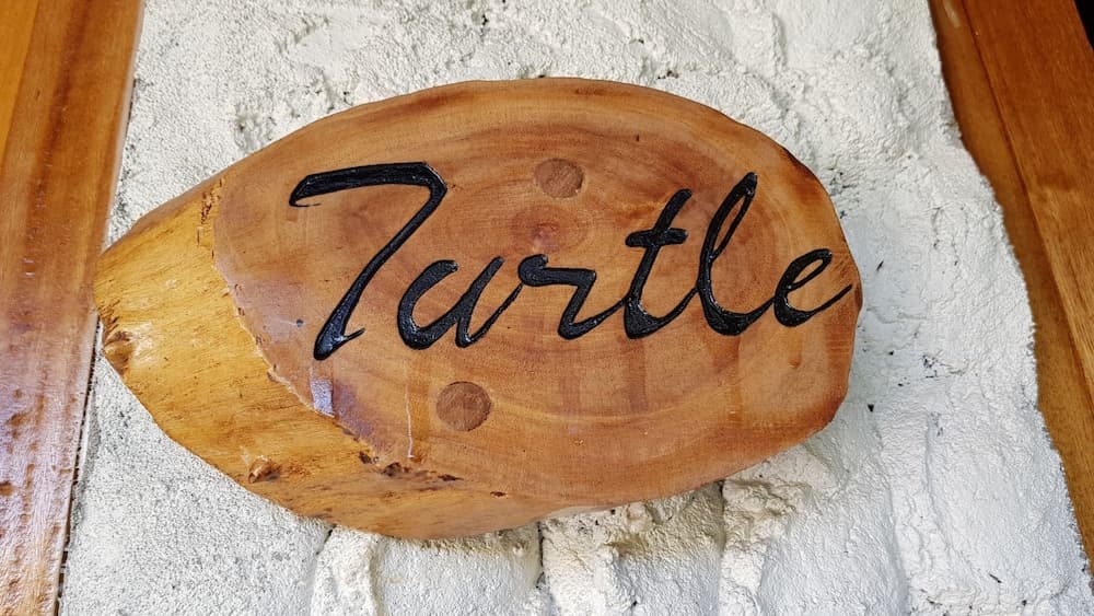 Blue World Dharavandhoo - View 4