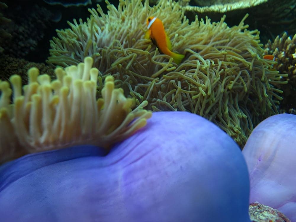 Noah Private Beach House - View 14