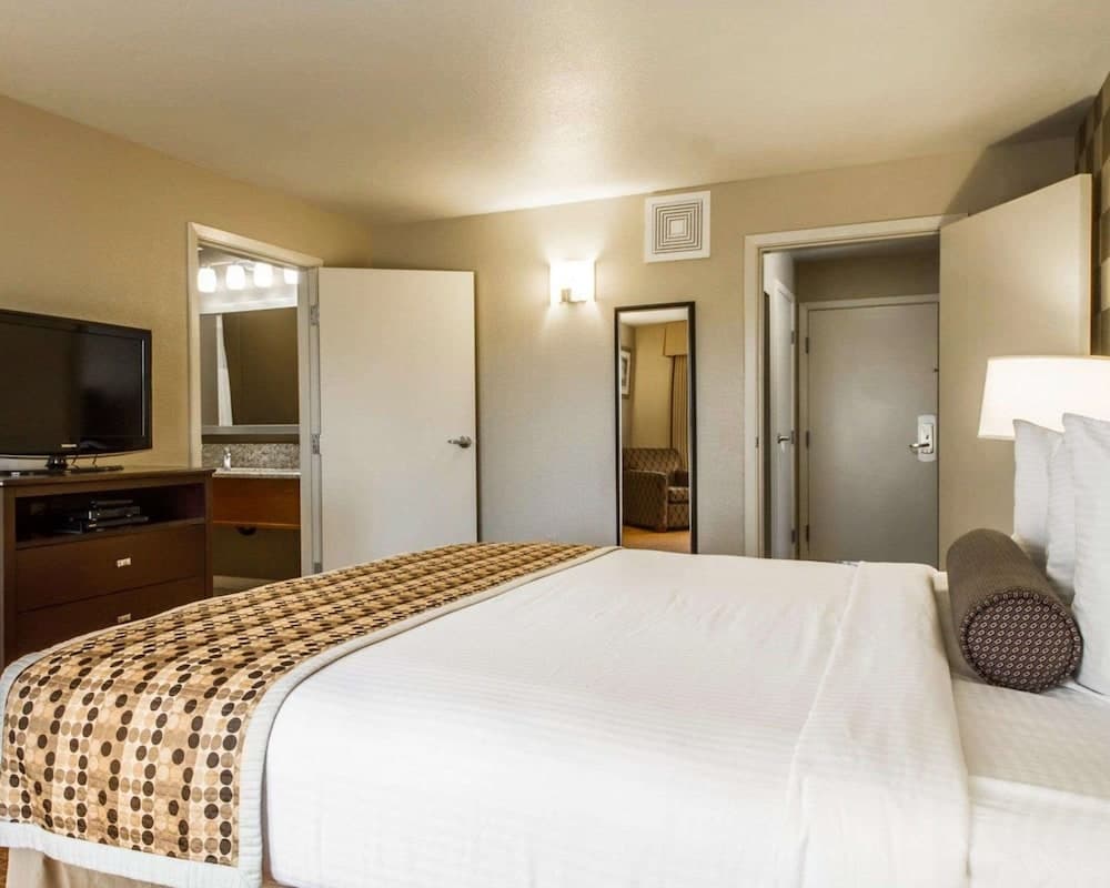 Dream Coral - View 9