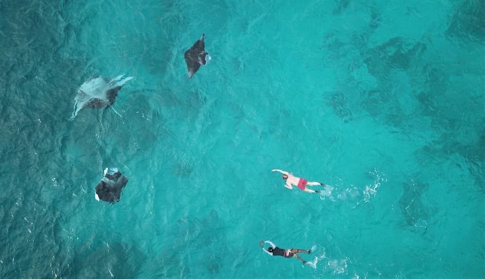 Ostrov Beach - View 16