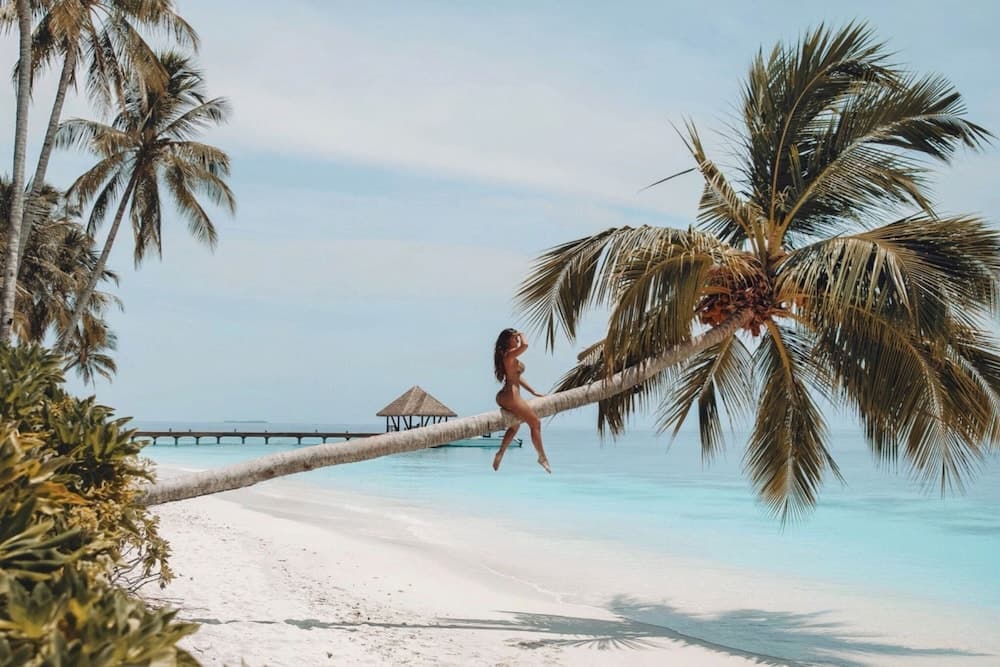 Reethi Faru Resort - View 26
