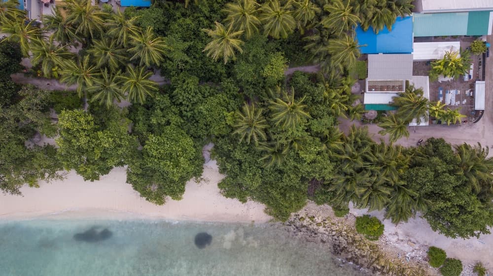 Gunbaru Inn - View 70