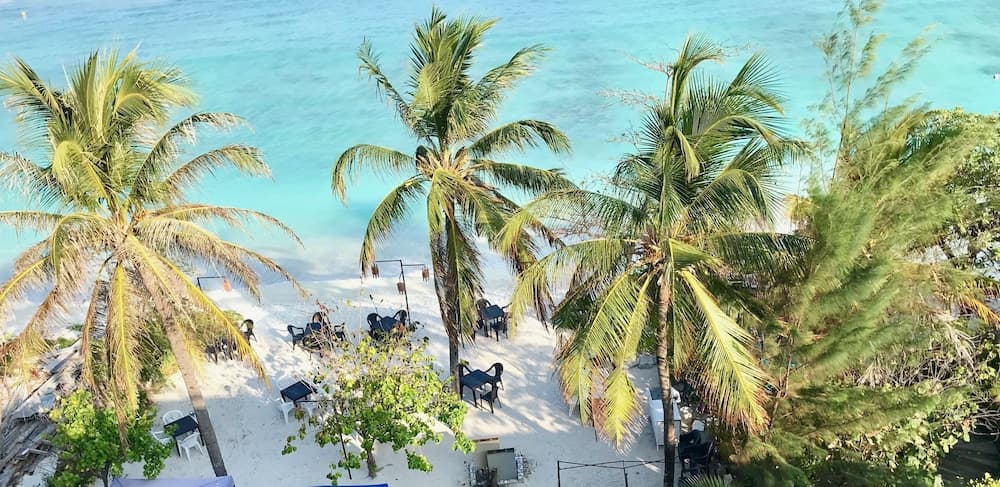 Airport Comfort Inn Premium - View 21