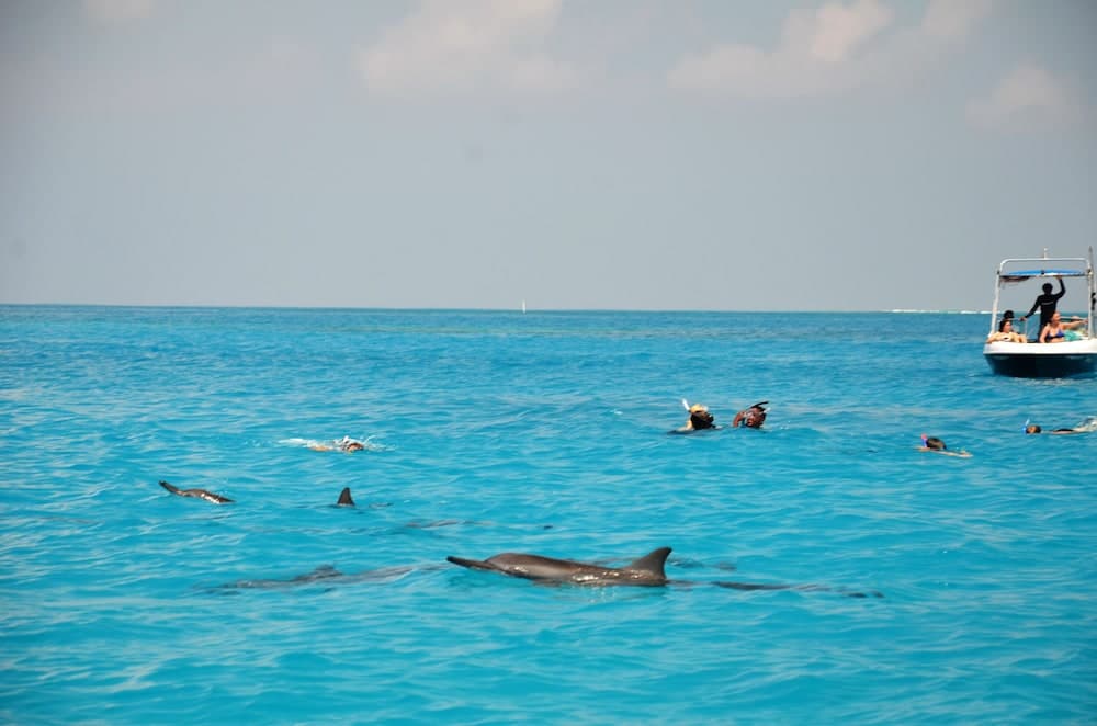 Adroit Beach Inn - View 192