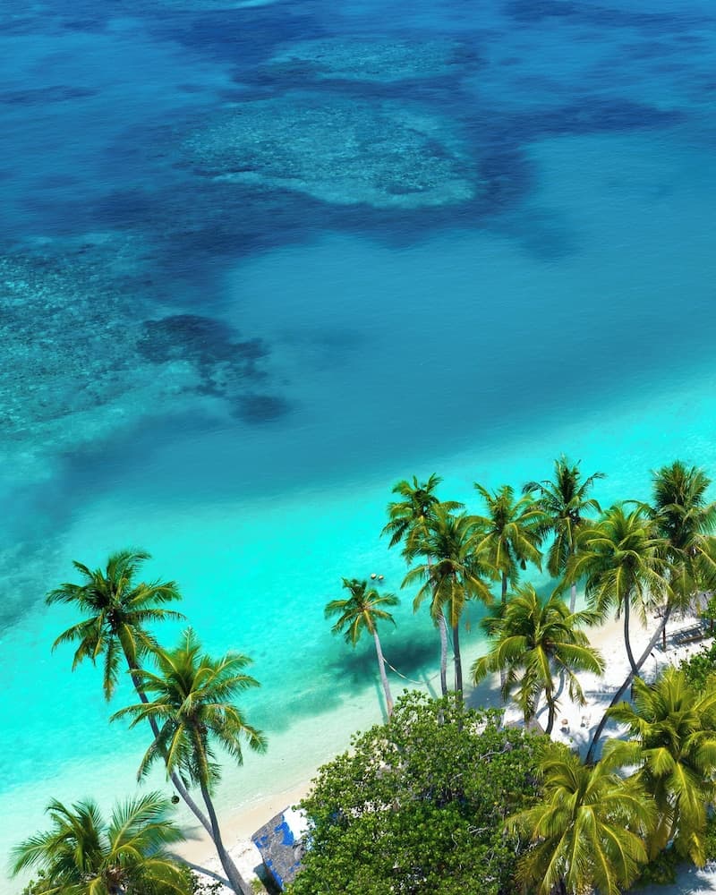 Araamu Hotels Maldives - View 57