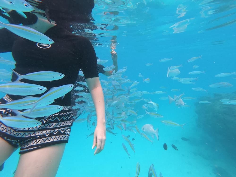 Thoddoo Beach Holiday Inn - View 9