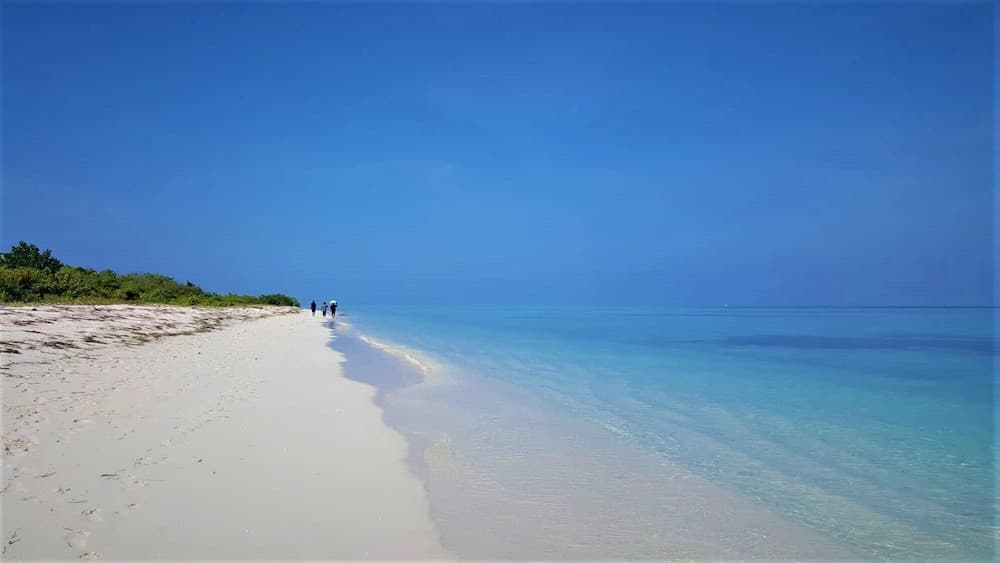 Explore Island Inn - View 41