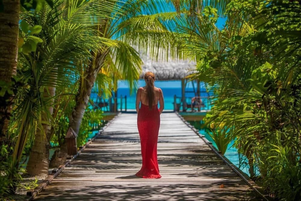 Filitheyo Island Resort - View 57