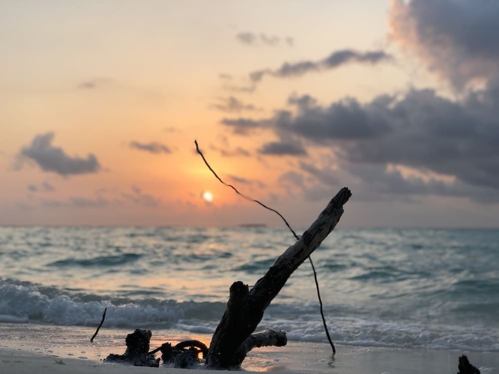 Infinity Dhiffushi - View 25