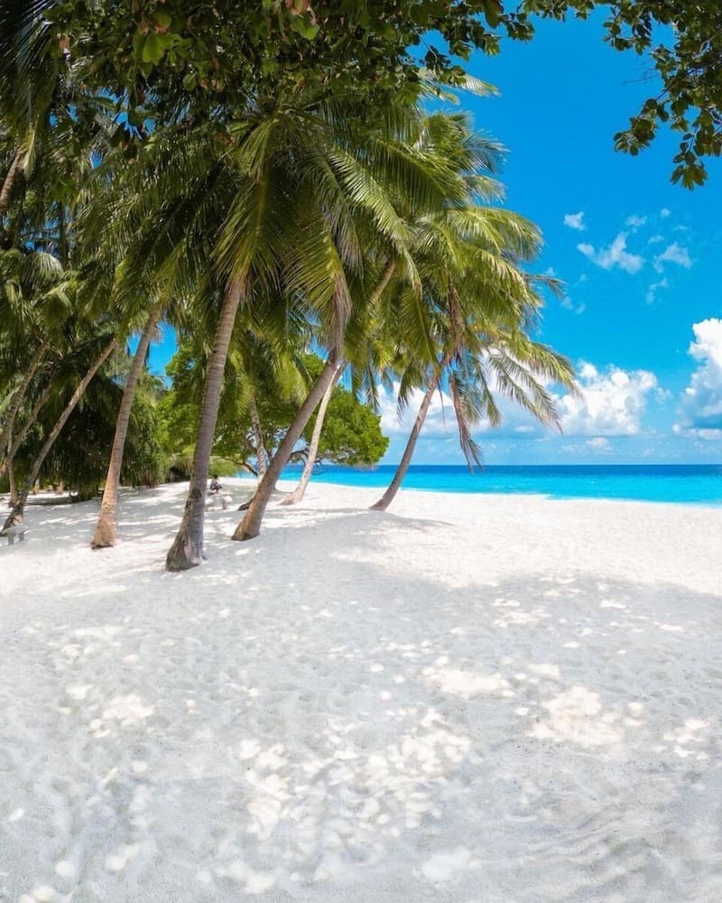 Island Guest - View 35