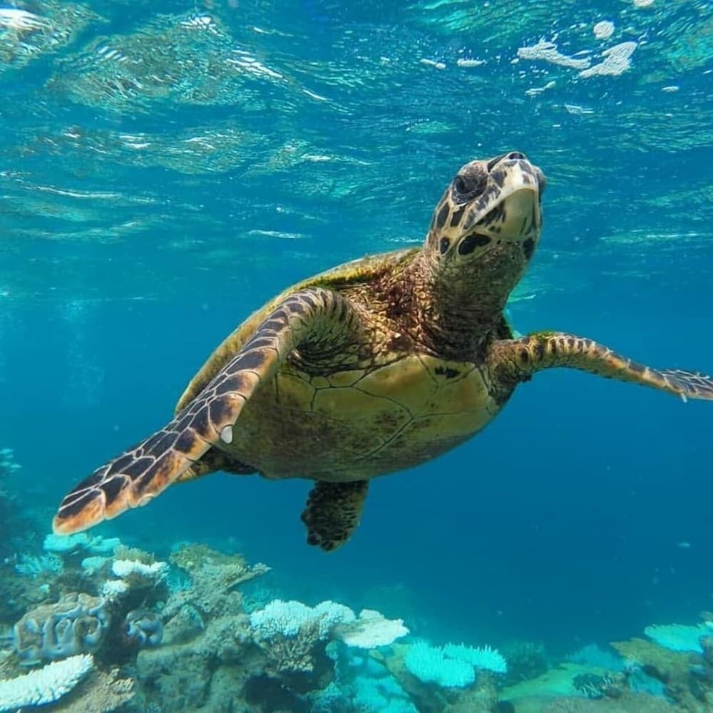 Casa Enjoy Maldives - View 8