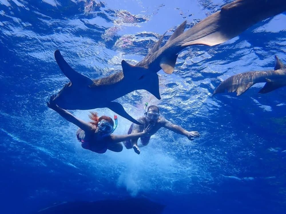 Athens View Guraidhoo - View 33