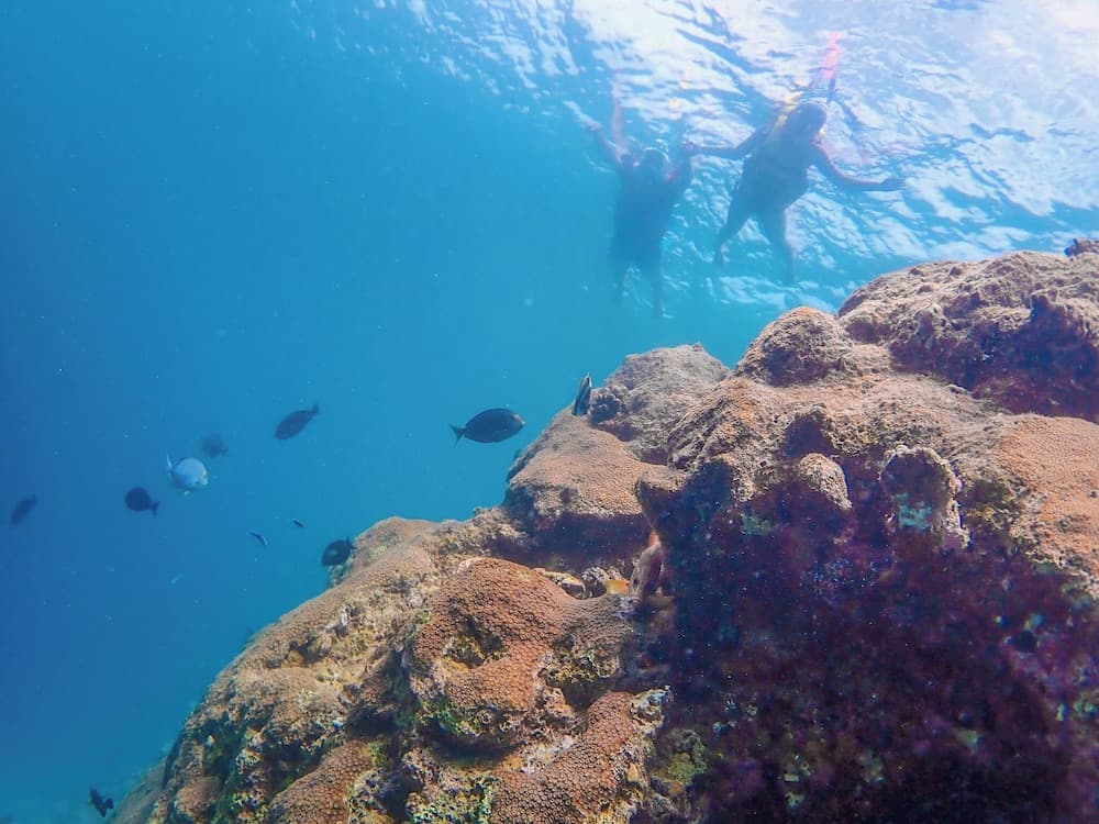 Ganduvaru Villa - View 86