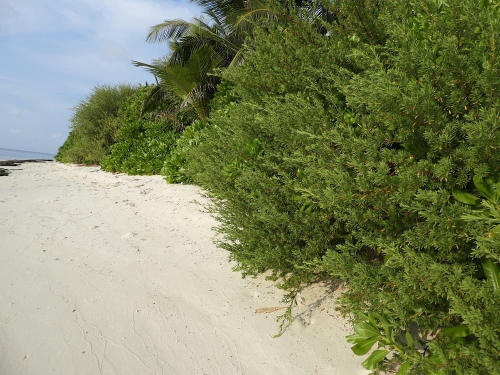 Karaa Village - View 46