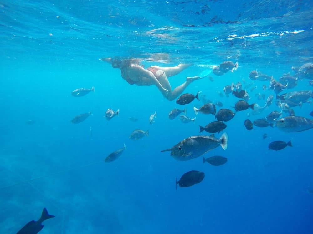 Adroit Beach Inn - View 197