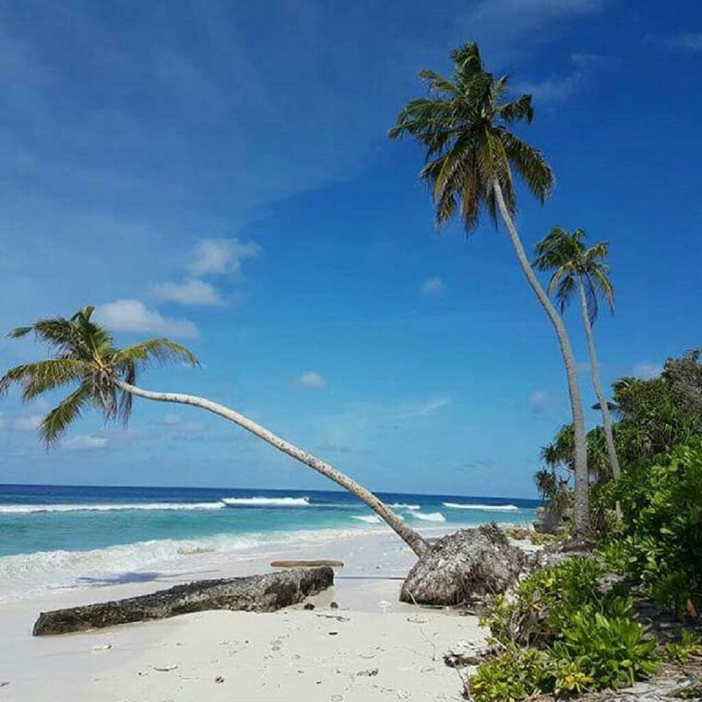 Charming Holiday Lodge - View 49