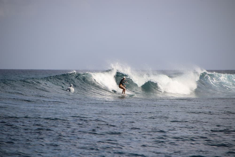 Stay Mikado - View 26