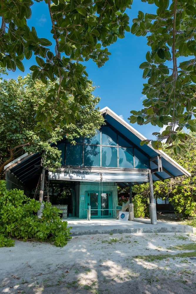 Mi Lugar Retreat and Spa - View 7