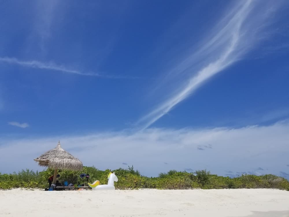 Lilac Stay - View 22