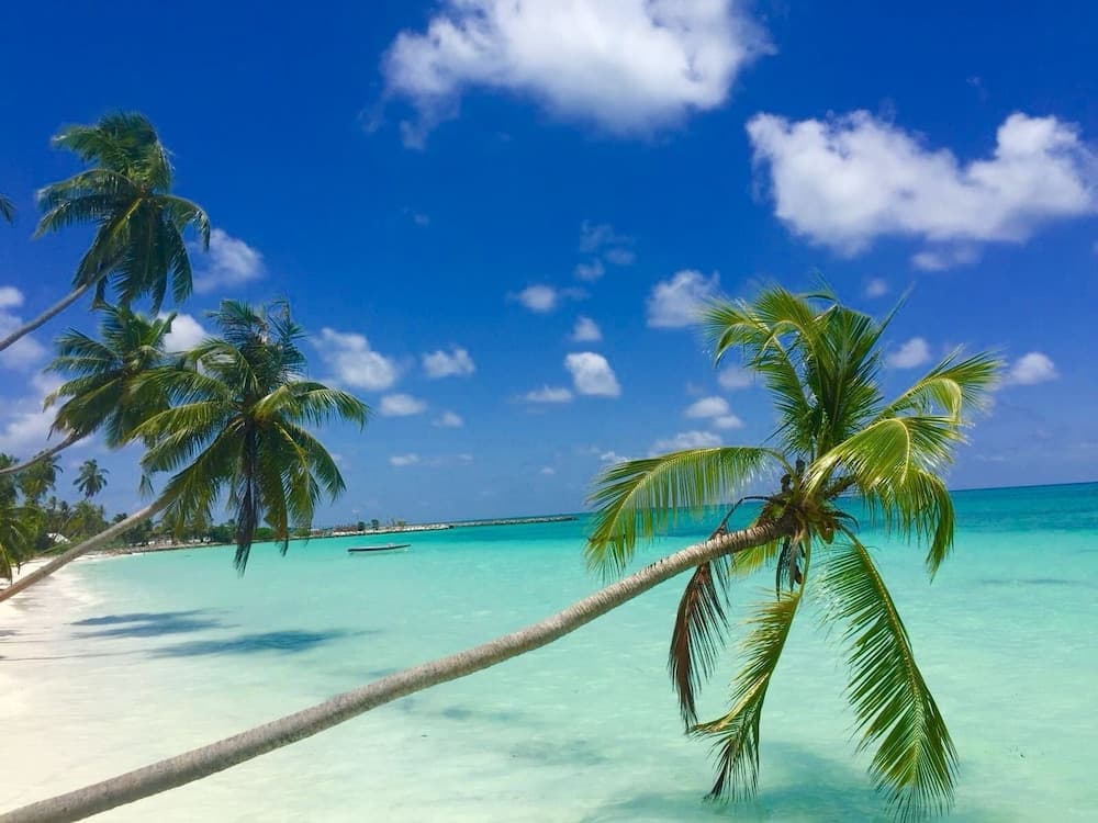 Nazaki Beach Hotel & Spa Maldives - View 29