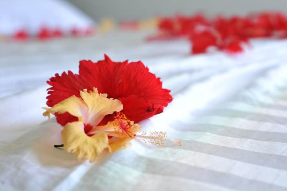 Fern Boquete Inn - View 4