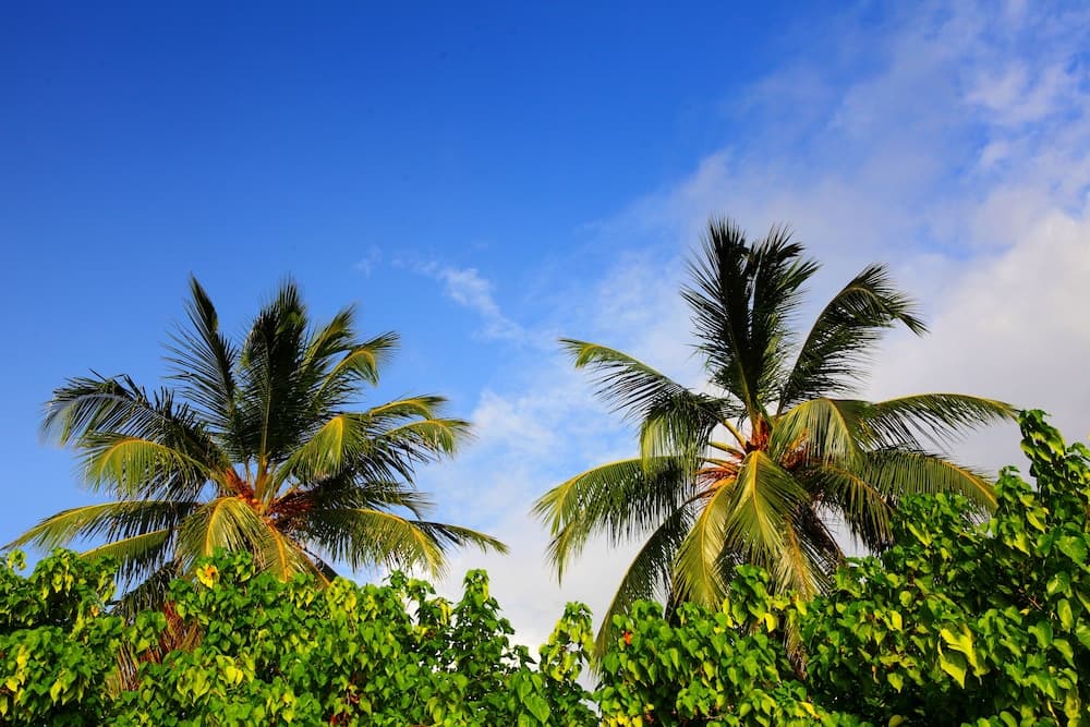 Ocean Villa with pool & spa - View 22