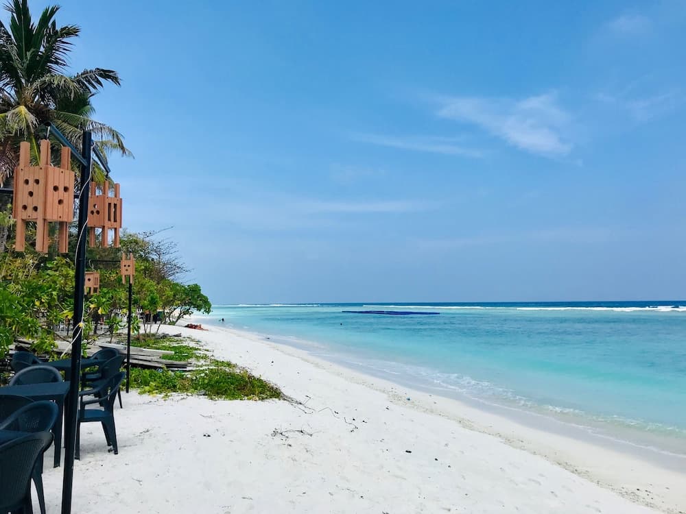 Airport Comfort Inn Premium - View 15