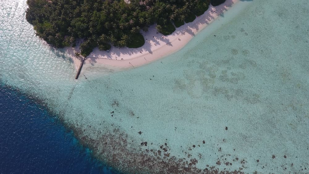 Biyadhoo Island Resort - View 34