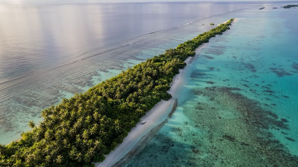 Whaleshark Beach - View 24
